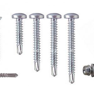 3007